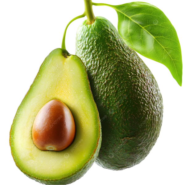 Aguacate